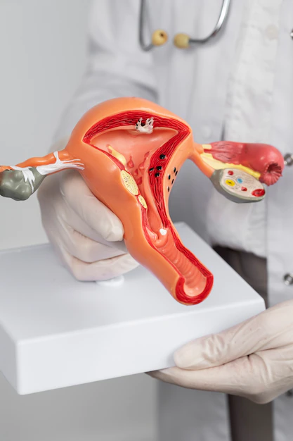ENDOSCOPY COLONSCOPY